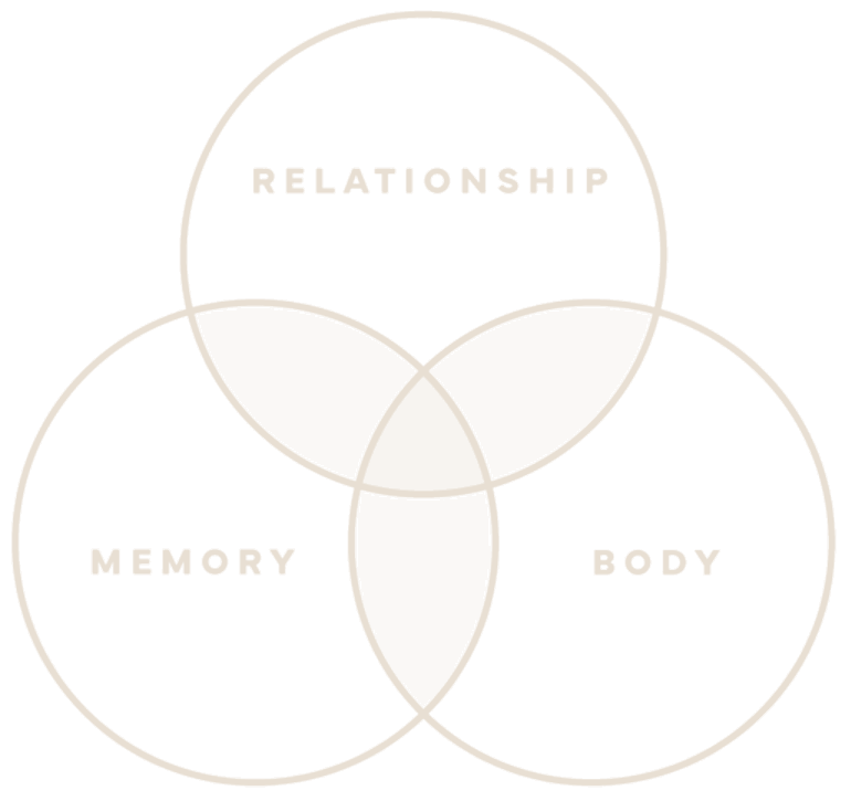 The three SIP spheres: Relationship, Memory and Body, overlapping